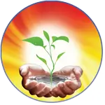 Масаж і реабілітація від лікаря Dr. Valentinovich